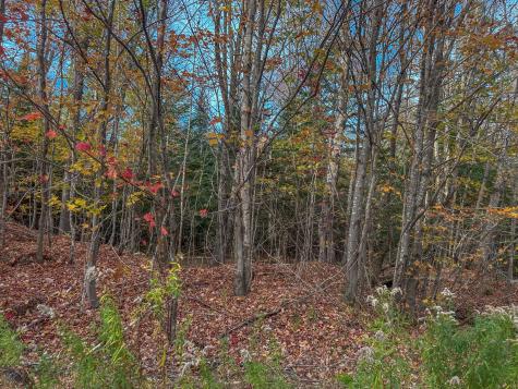 13A-1 Elephant Mountain Greenville ME 04441