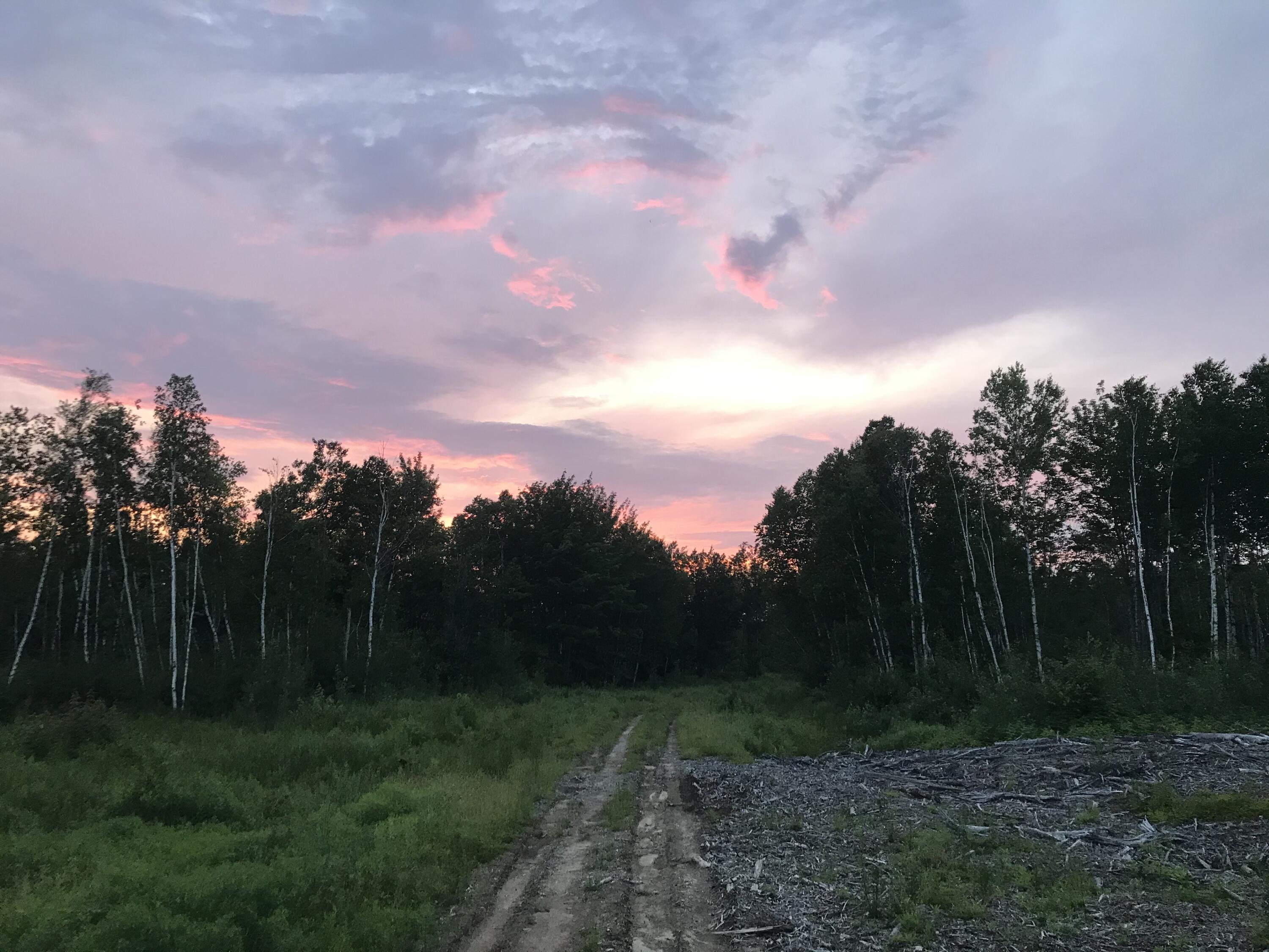 599 Ridge Road Cherryfield, ME