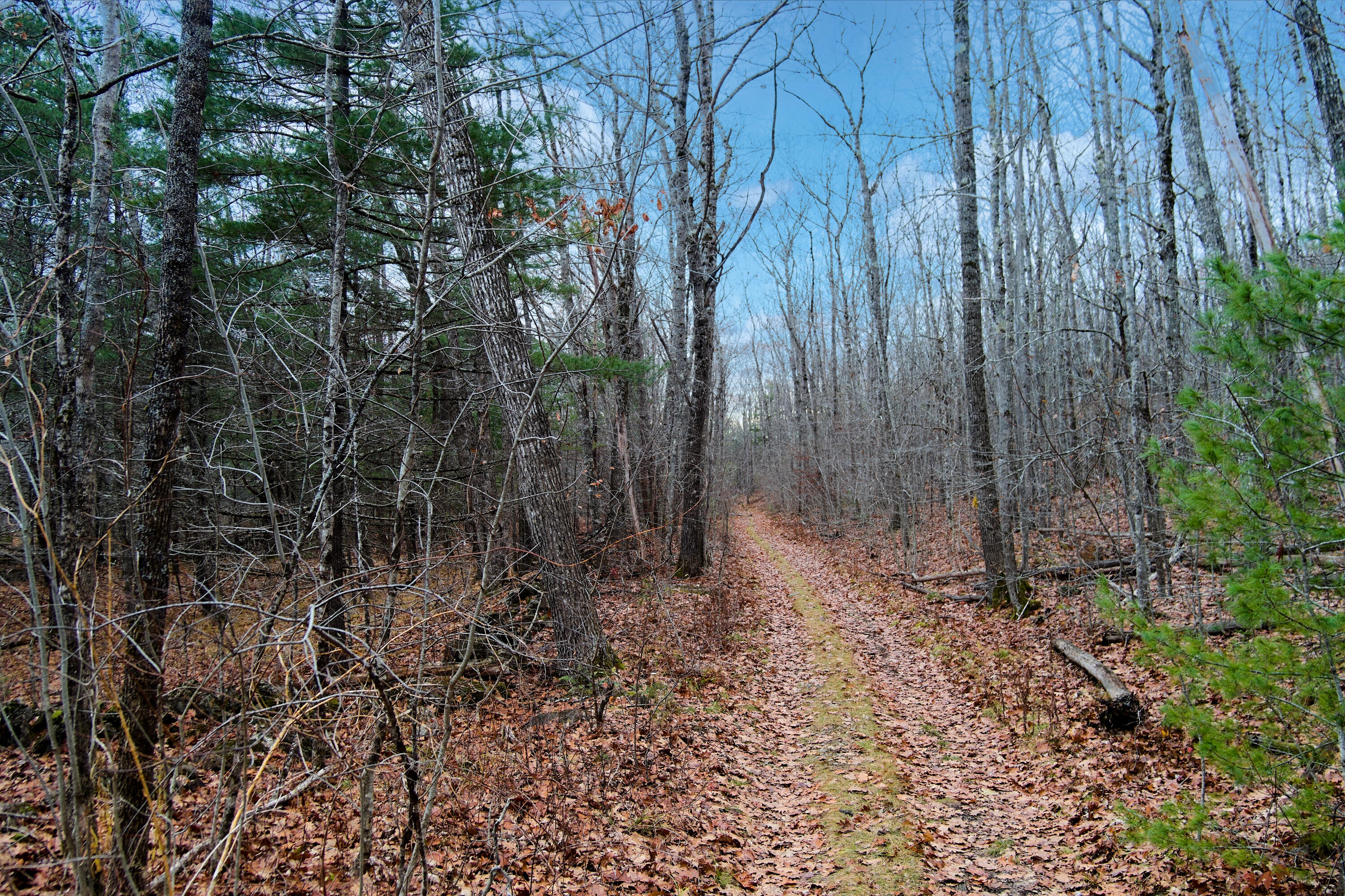 Lot 151 Dunbar Road Thomaston ME 04861