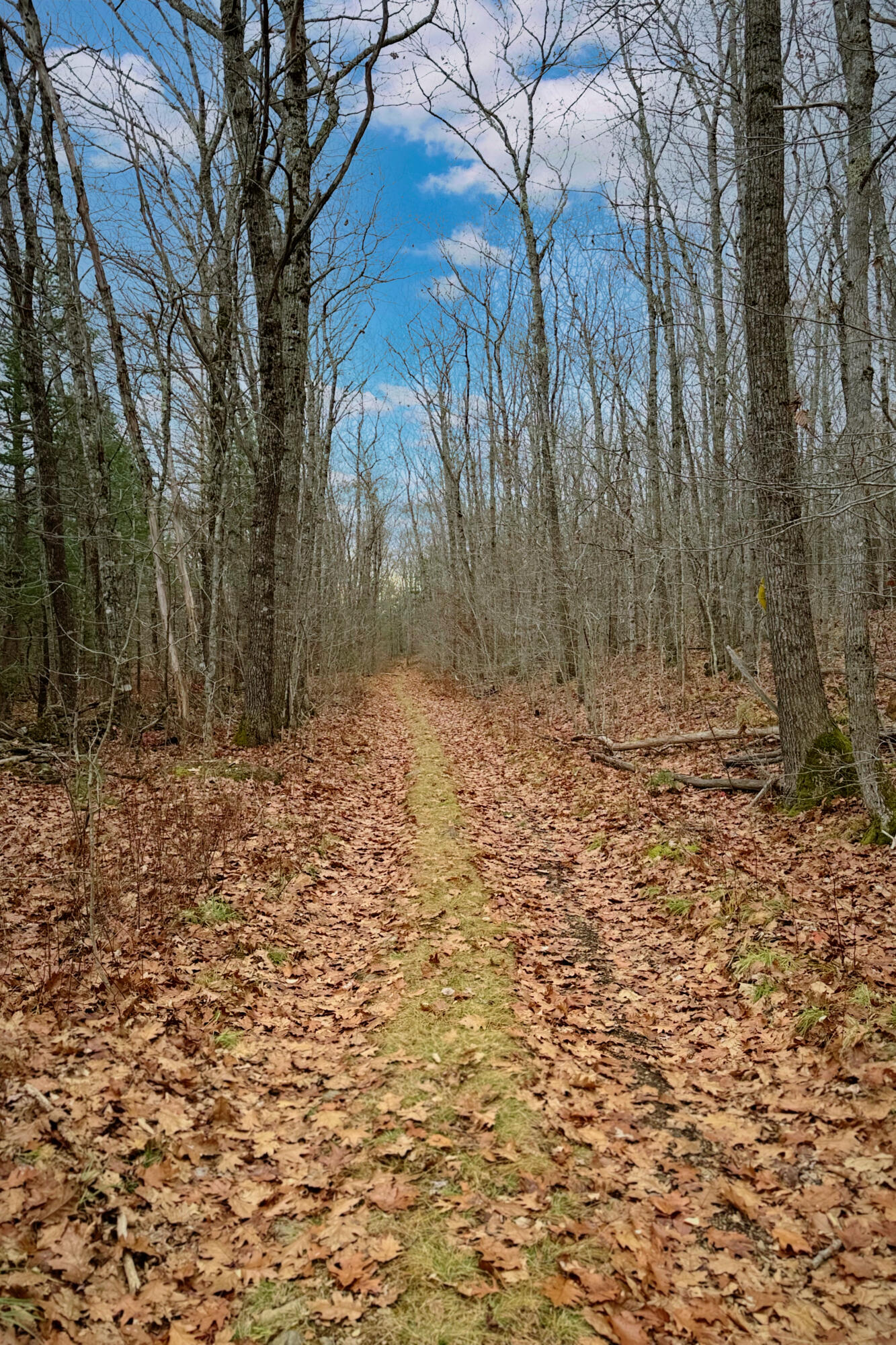 Lot 151 Dunbar Road Thomaston ME 04861