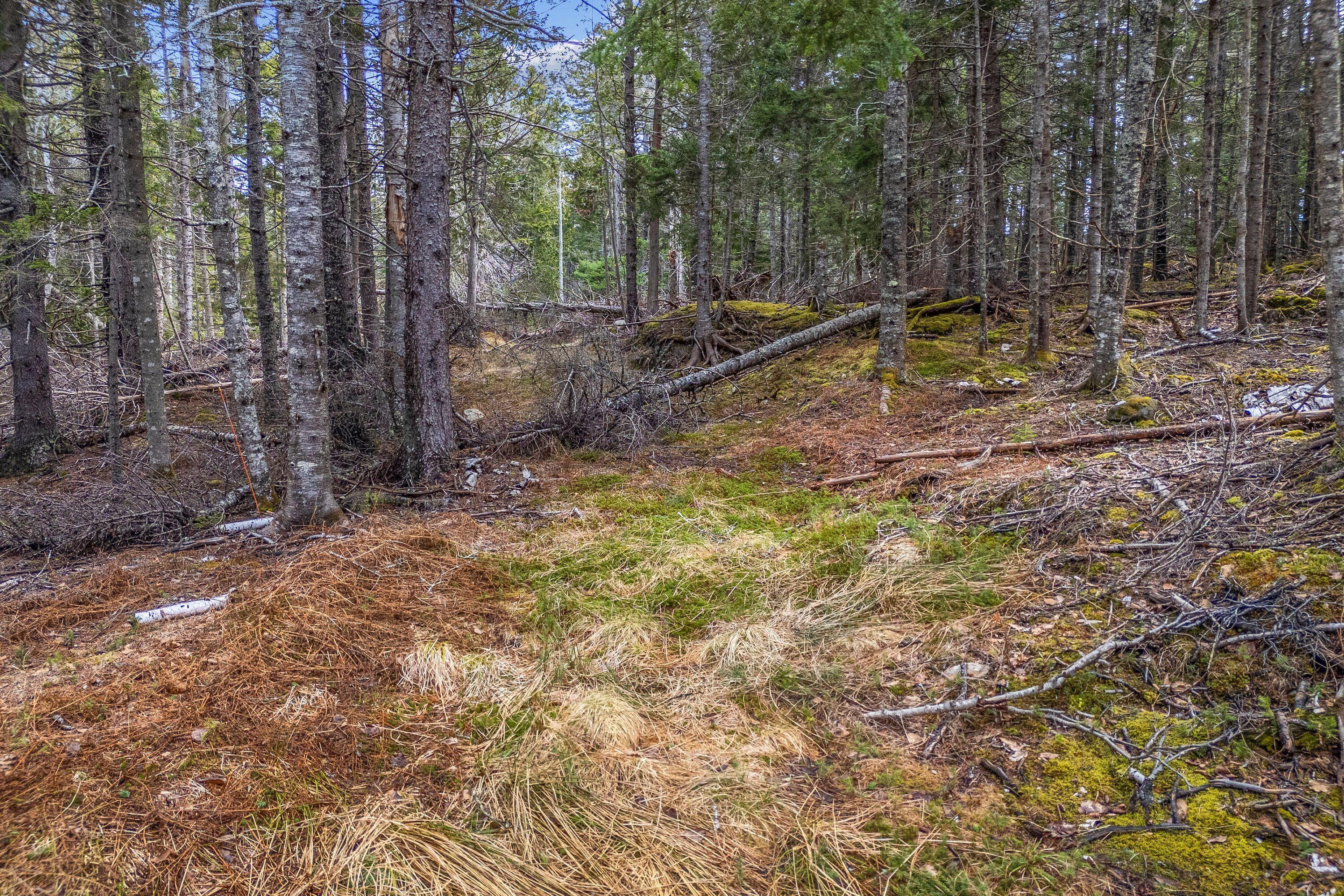 12D, 12i Mildred Grace Road Islesboro ME 04848