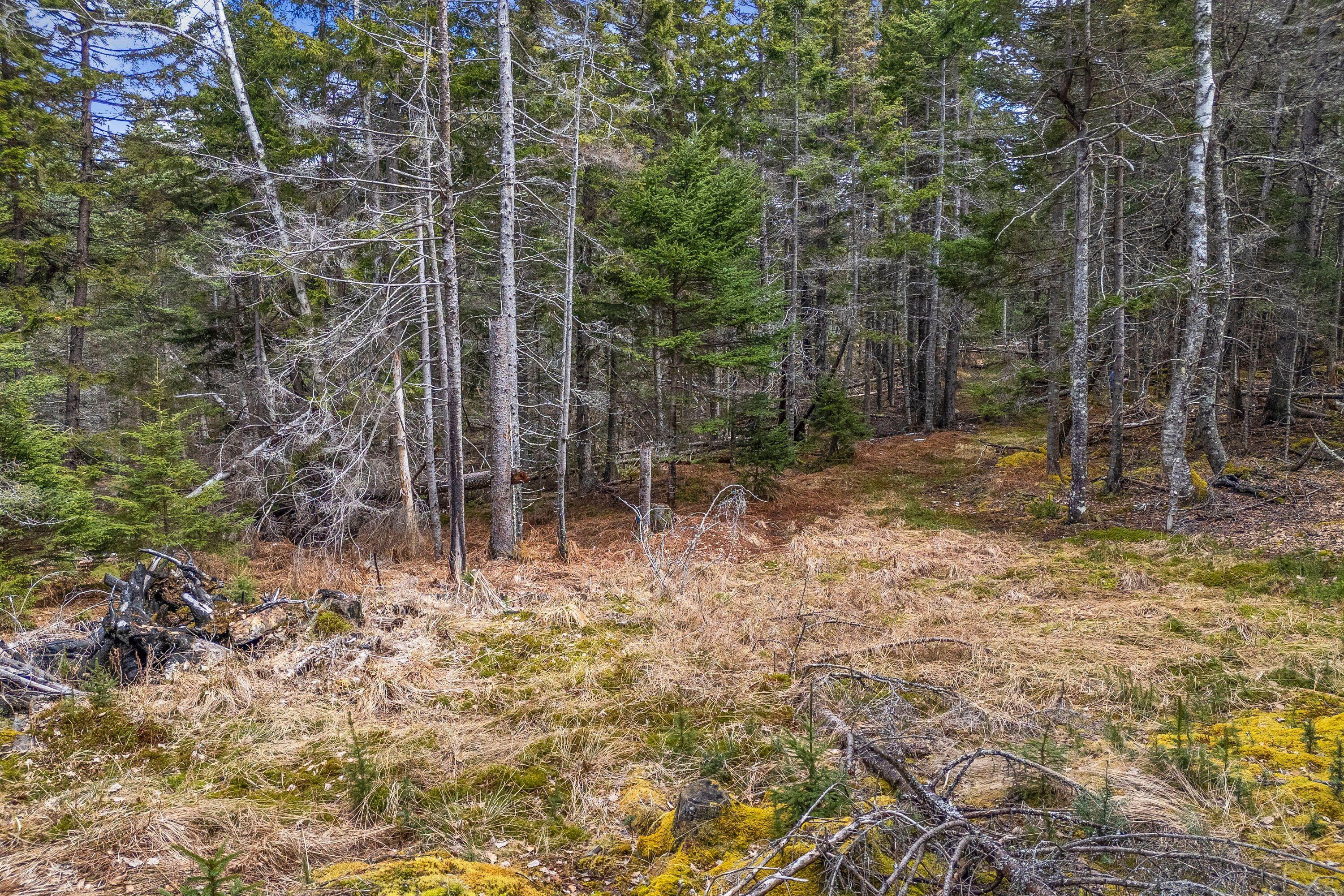 12D, 12i Mildred Grace Road Islesboro ME 04848