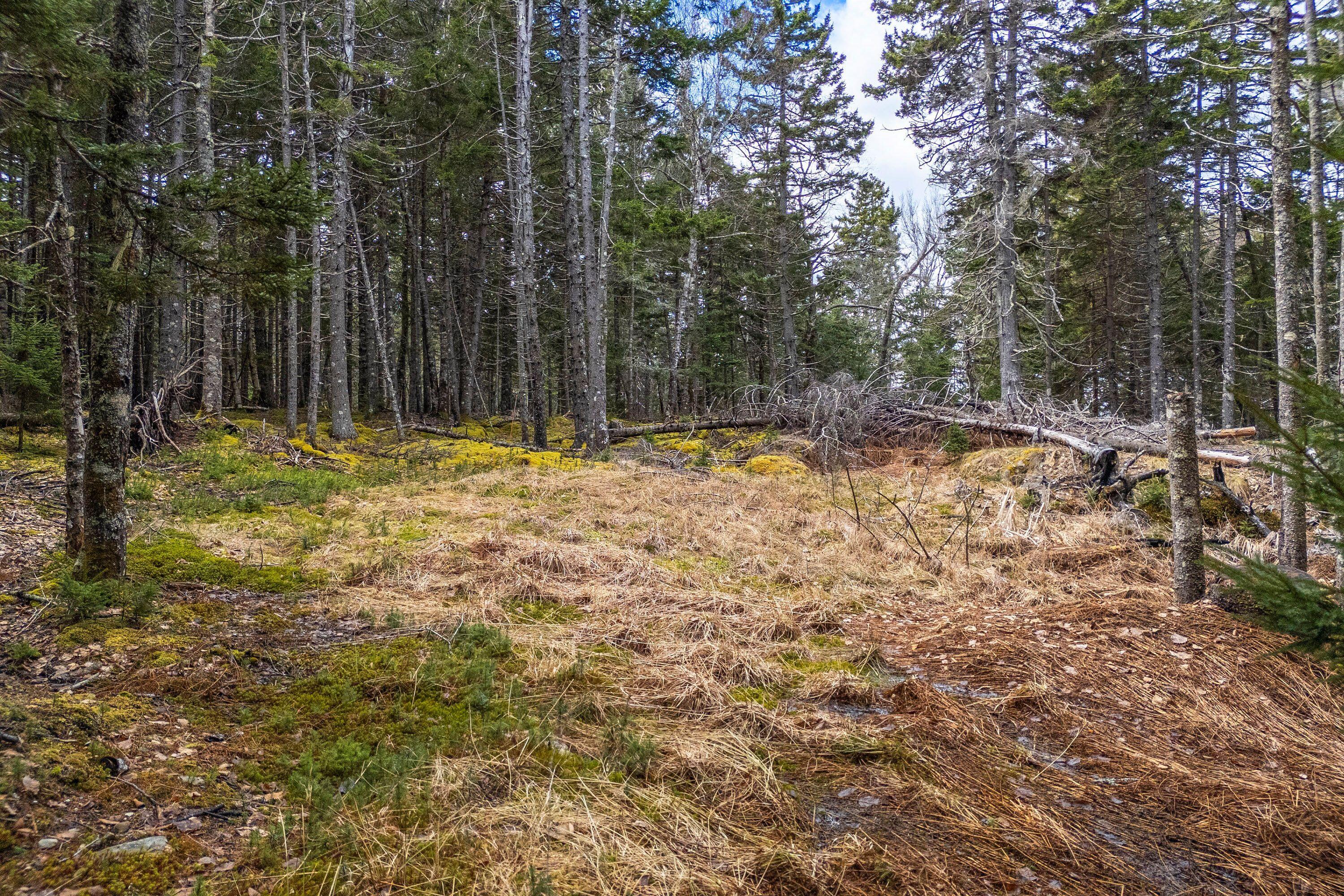 12D, 12i Mildred Grace Road Islesboro ME 04848