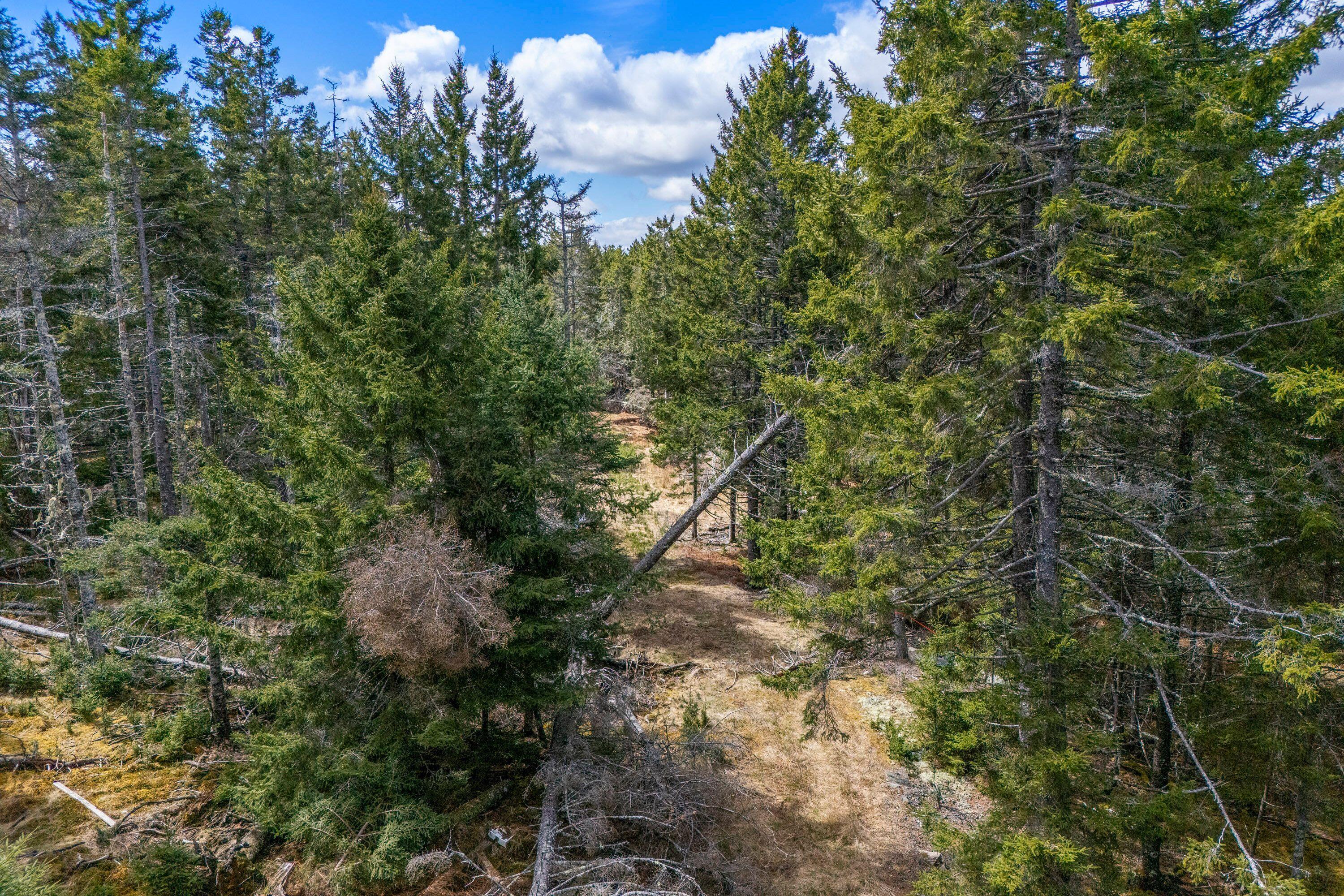 12D, 12i Mildred Grace Road Islesboro ME 04848