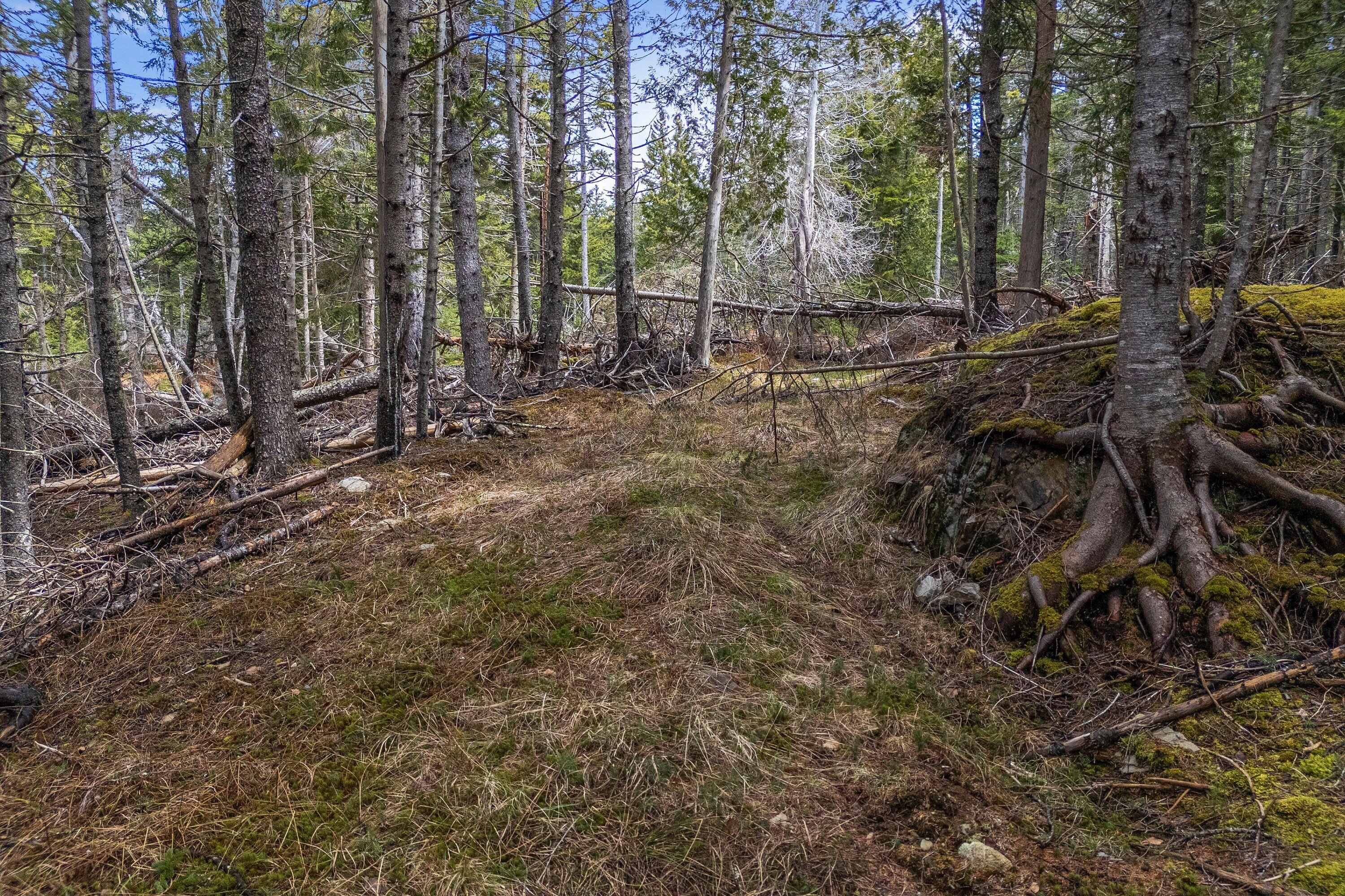 12D, 12i Mildred Grace Road Islesboro ME 04848