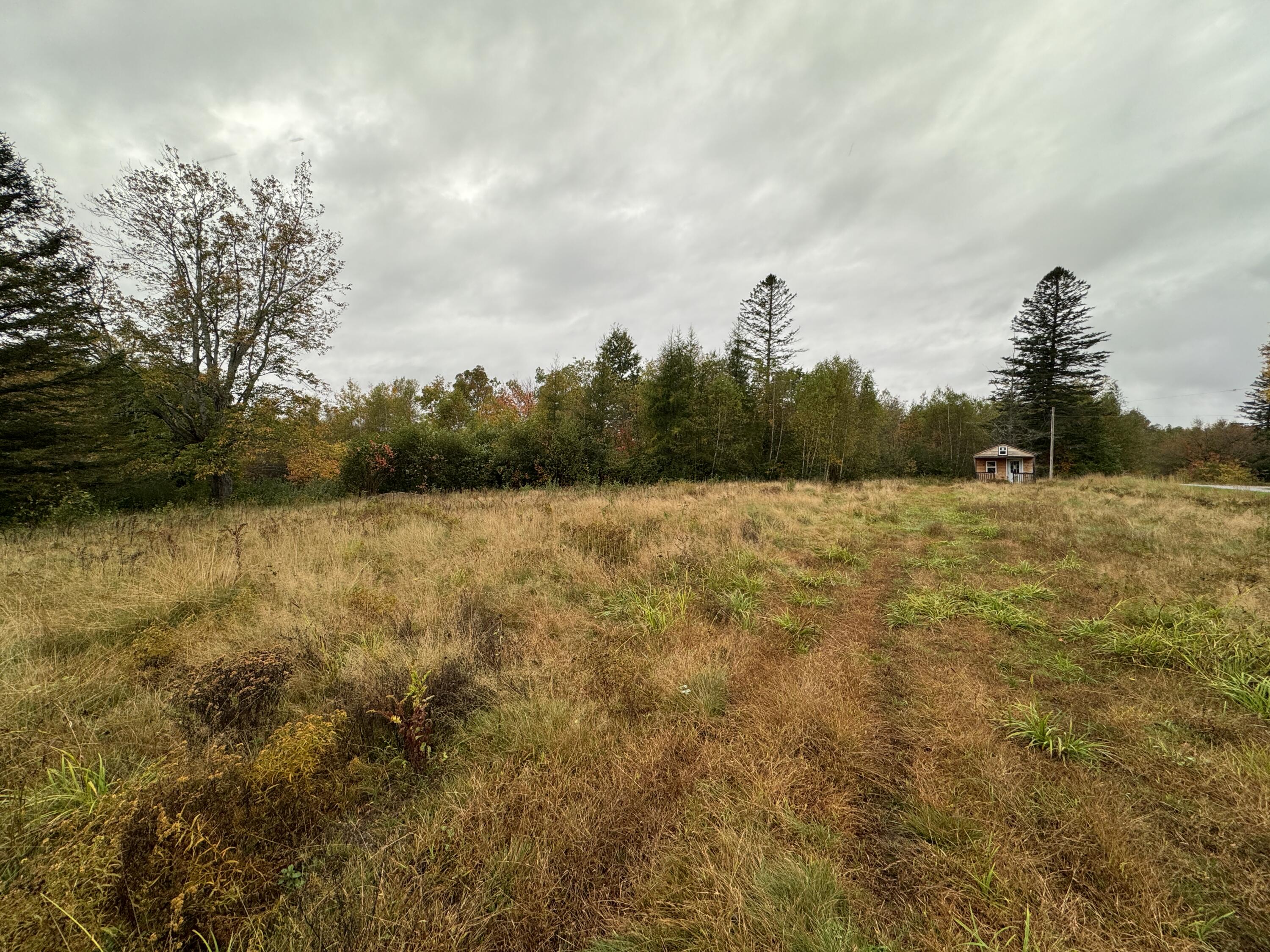 Lot43-99-1 First Street Milo ME 04463