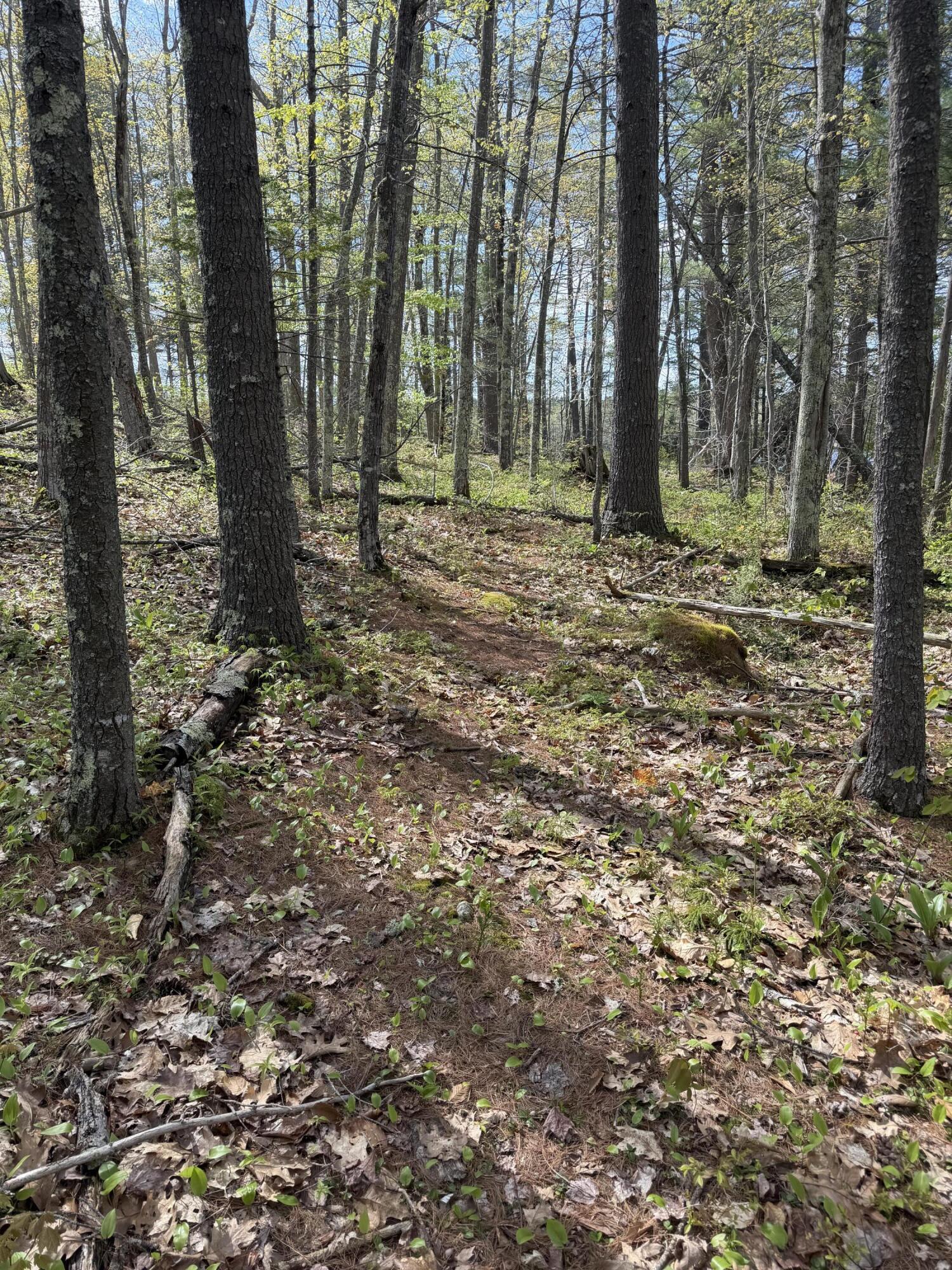 52 Blake Island Oakland ME 04963