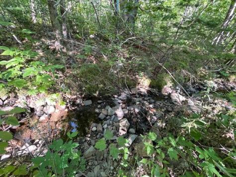 Lot 53 Robb Hill Road Alexander ME 04694