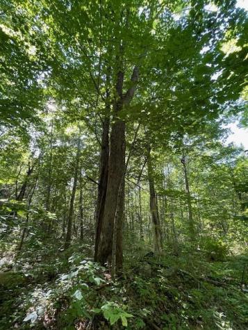 Lot 53 Robb Hill Road Alexander ME 04694