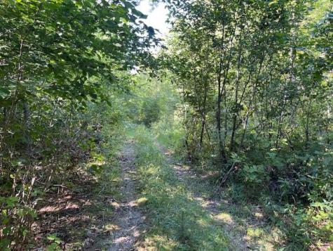 Lot 53 Robb Hill Road Alexander ME 04694