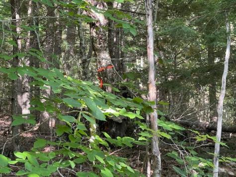 Lot 53 Robb Hill Road Alexander ME 04694