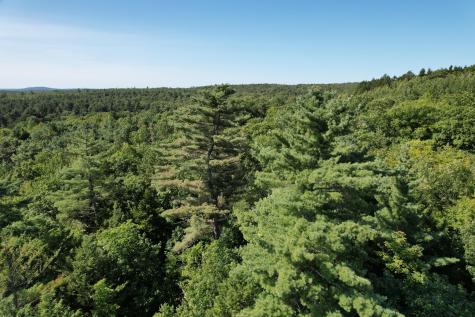 Lot 53 Robb Hill Road Alexander ME 04694