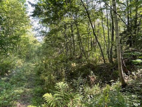 Lot 53 Robb Hill Road Alexander ME 04694