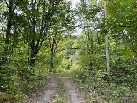 Lot 53 Robb Hill Road Alexander ME 04694