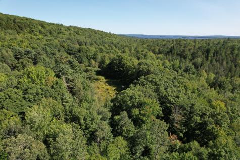 Lot 53 Robb Hill Road Alexander ME 04694