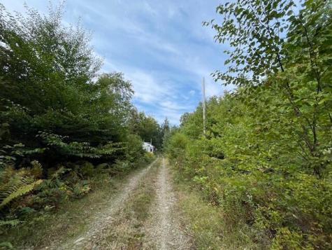 Lot 53 Robb Hill Road Alexander ME 04694