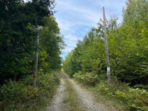 Lot 53 Robb Hill Road Alexander ME 04694