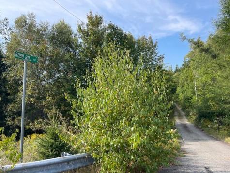 Lot 53 Robb Hill Road Alexander ME 04694