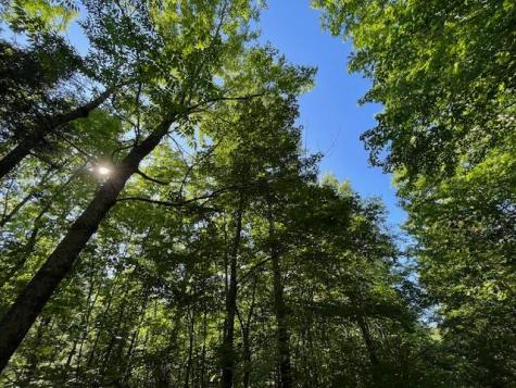 Lot 53 Robb Hill Road Alexander ME 04694