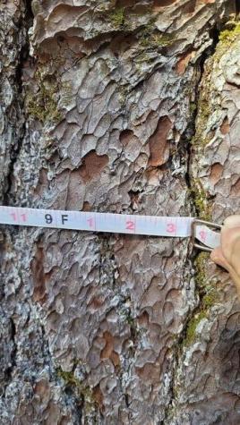 Lot 53 Robb Hill Road Alexander ME 04694