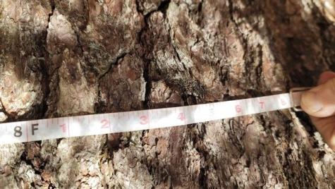 Lot 53 Robb Hill Road Alexander ME 04694