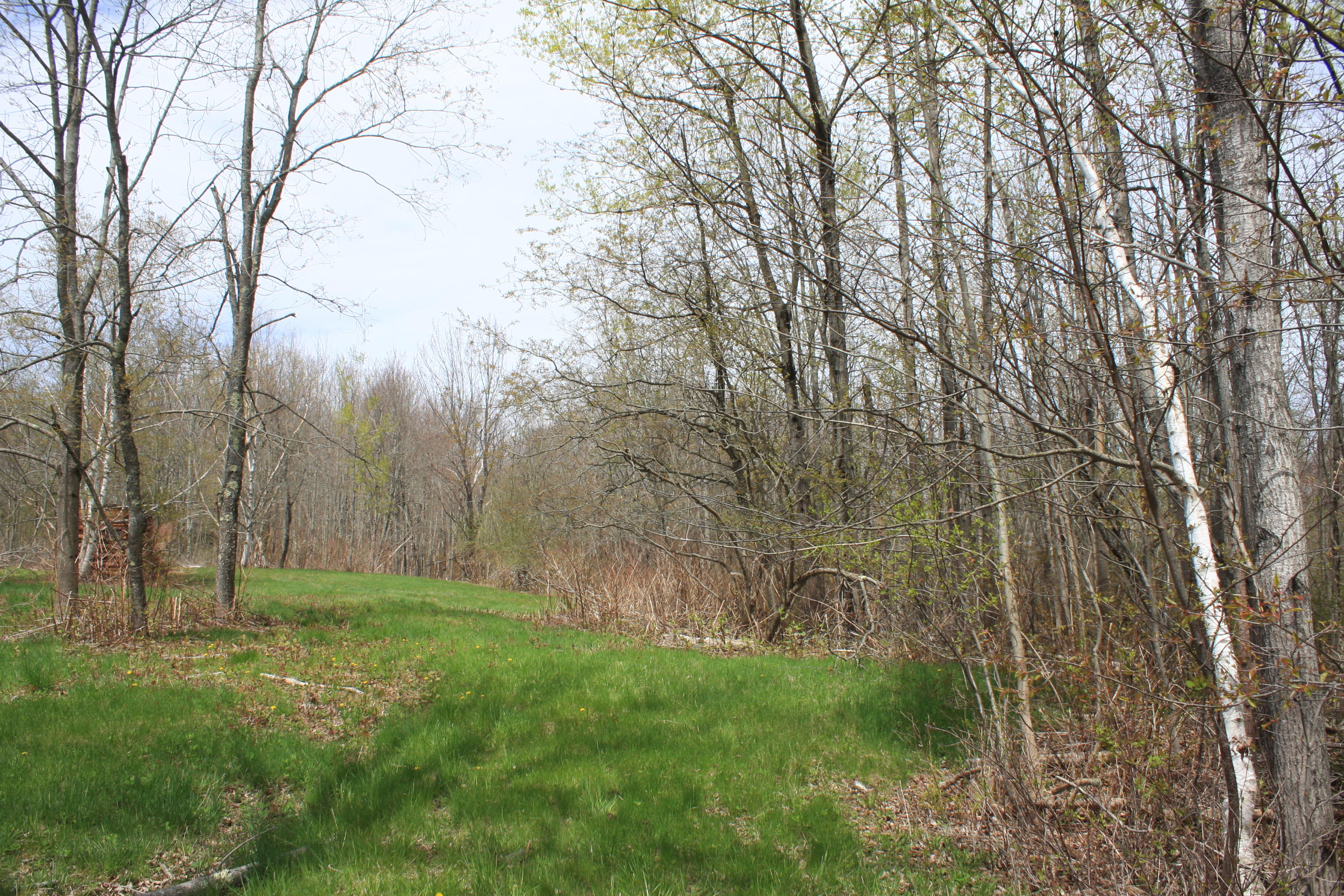 358 E Main Street Searsport Maine Real Estate Listing MLS 1490107