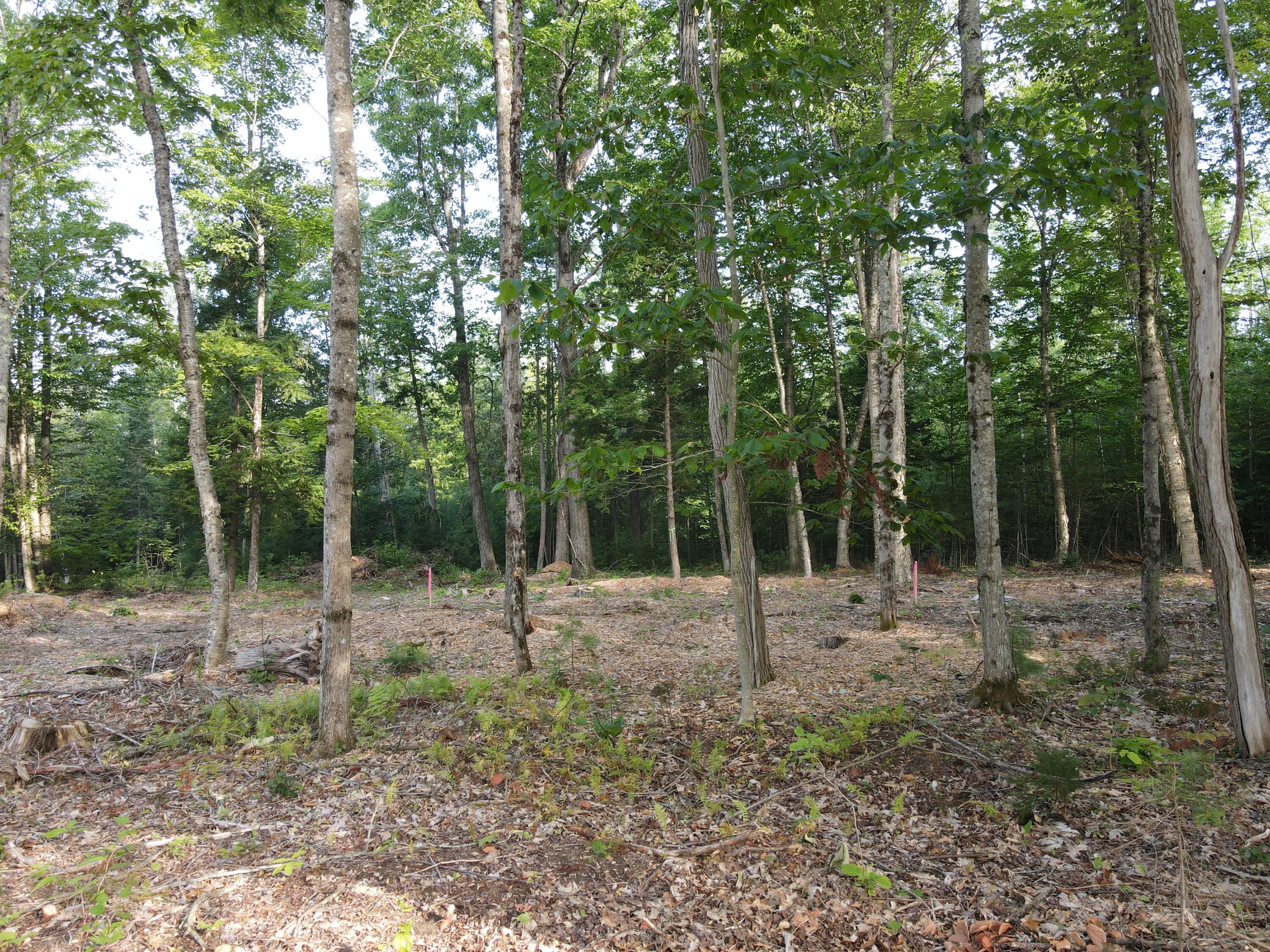 Lot 6 Oak Pond Road Skowhegan ME 04967