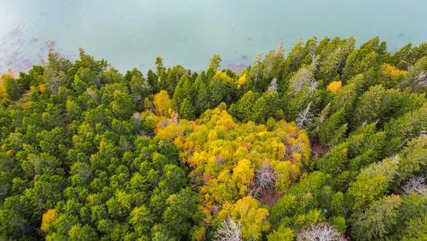 M2 Lot6-5b Nepp Point Road Roque Bluffs ME 04654
