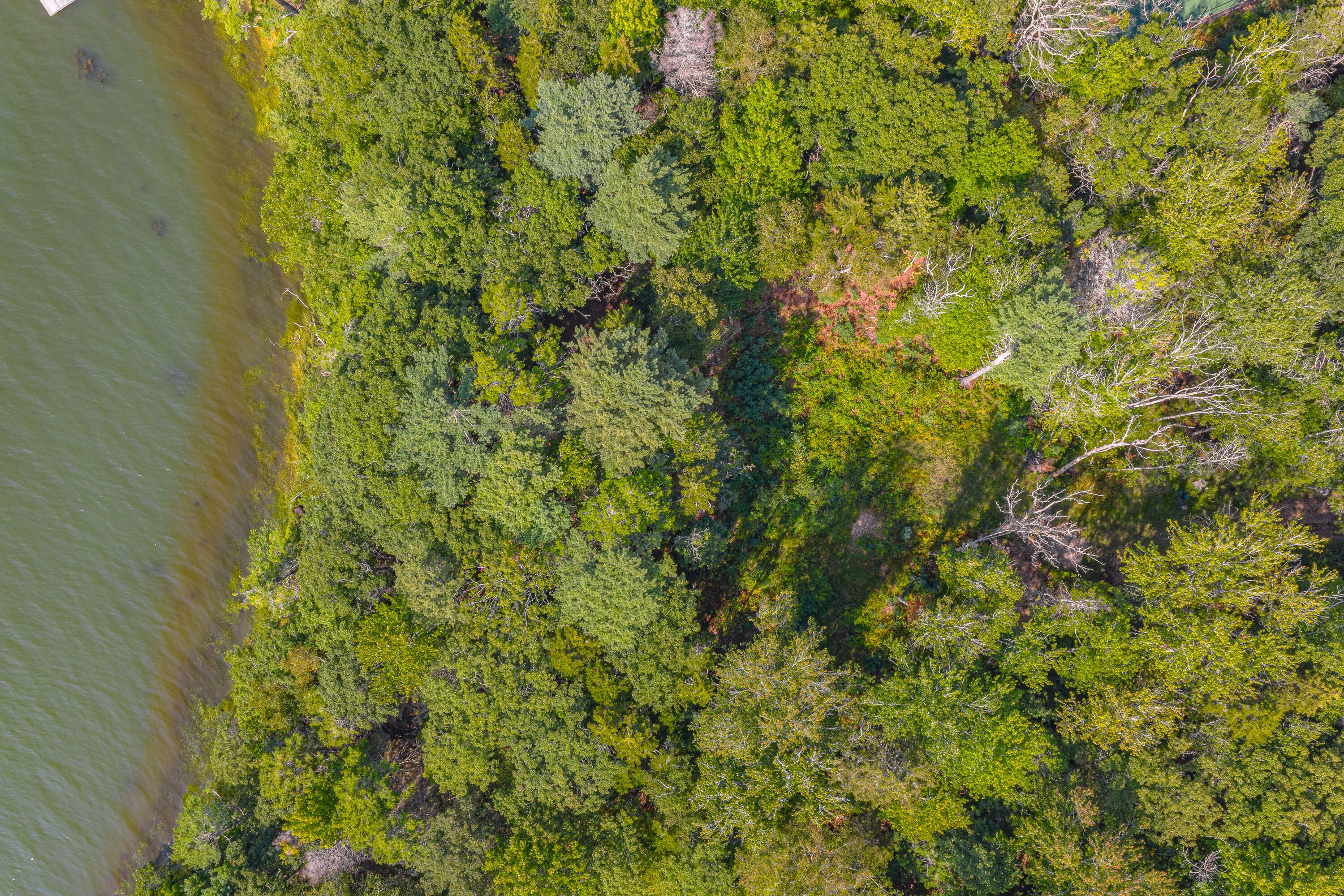 0 Gundalo Gap Road Brunswick ME 04011