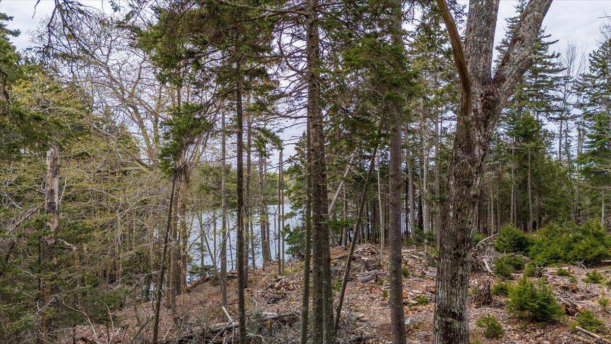 Map 22 Lot 4b Big Tree Lane Islesboro ME 04848