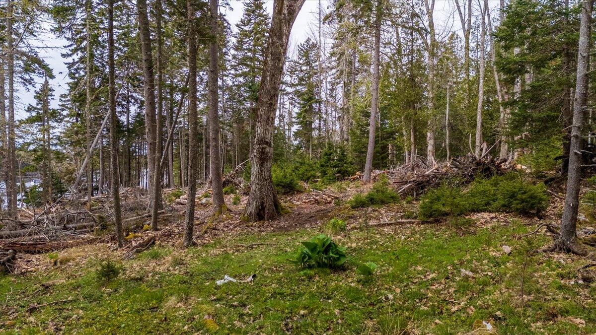 Map 22 Lot 4b Big Tree Lane Islesboro ME 04848