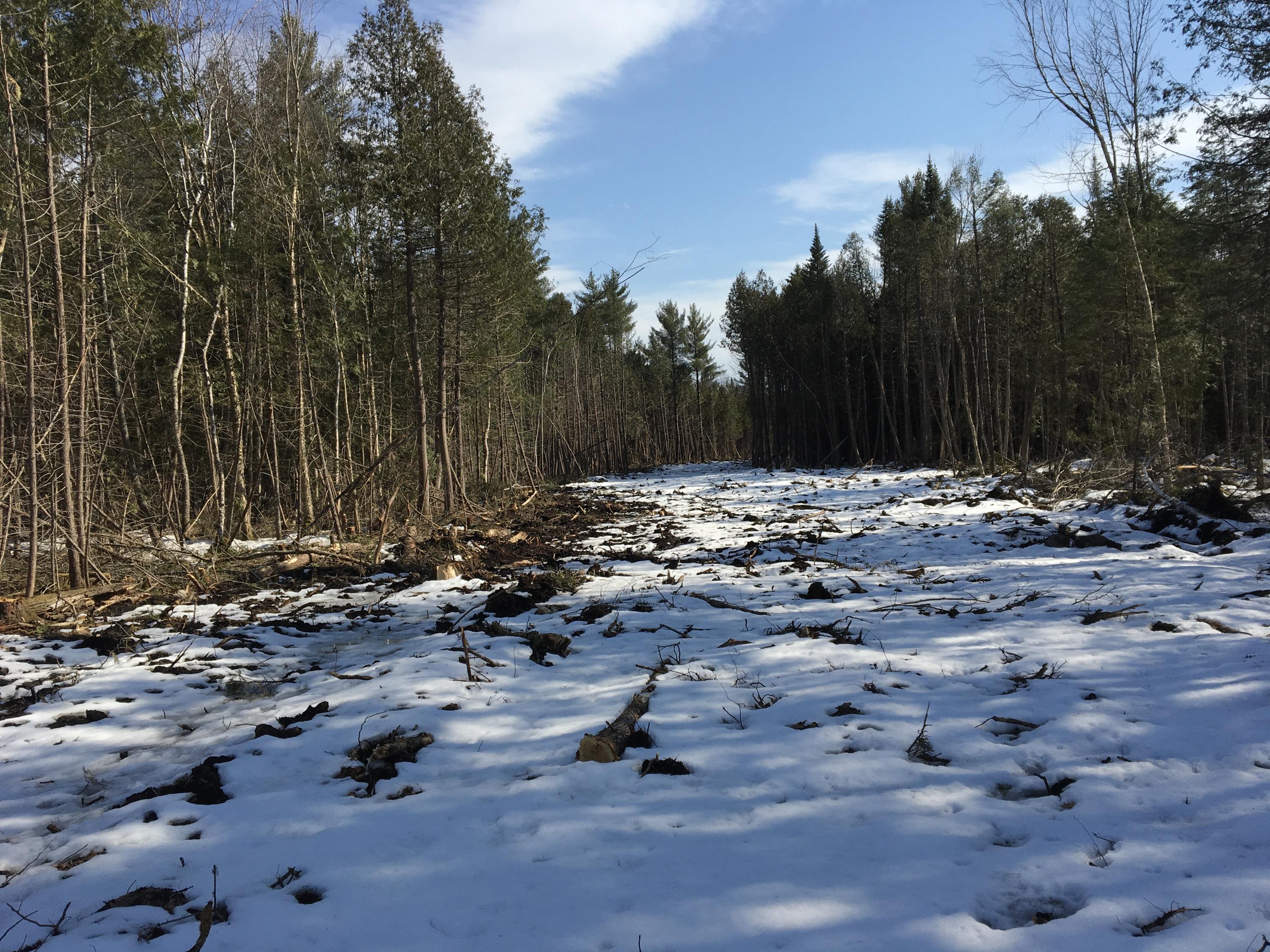 566 Warren Hill Road Palmyra ME 04965