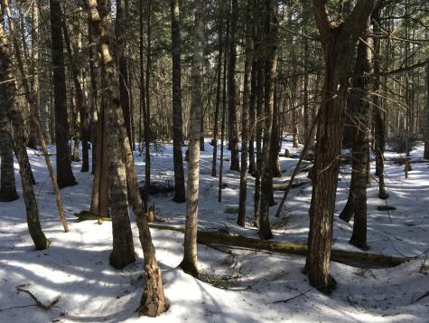 566 Warren Hill Road Palmyra ME 04965