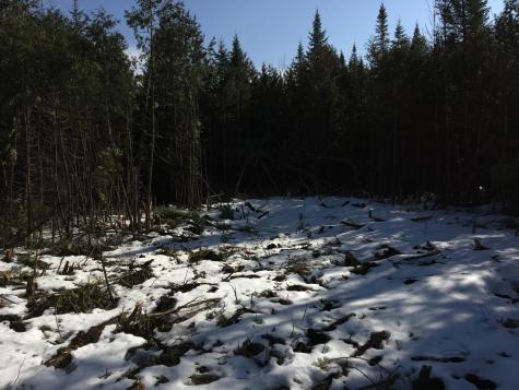 566 Warren Hill Road Palmyra ME 04965