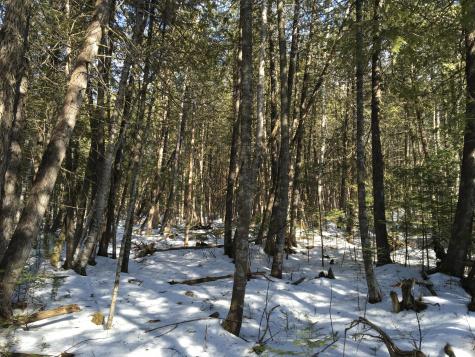 566 Warren Hill Road Palmyra ME 04965