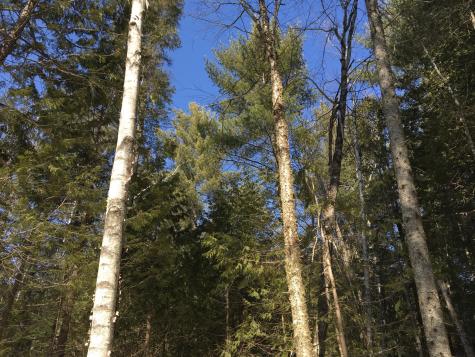 566 Warren Hill Road Palmyra ME 04965