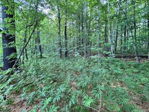 M11 L14 Vaughn Road Dover-foxcroft ME 04426