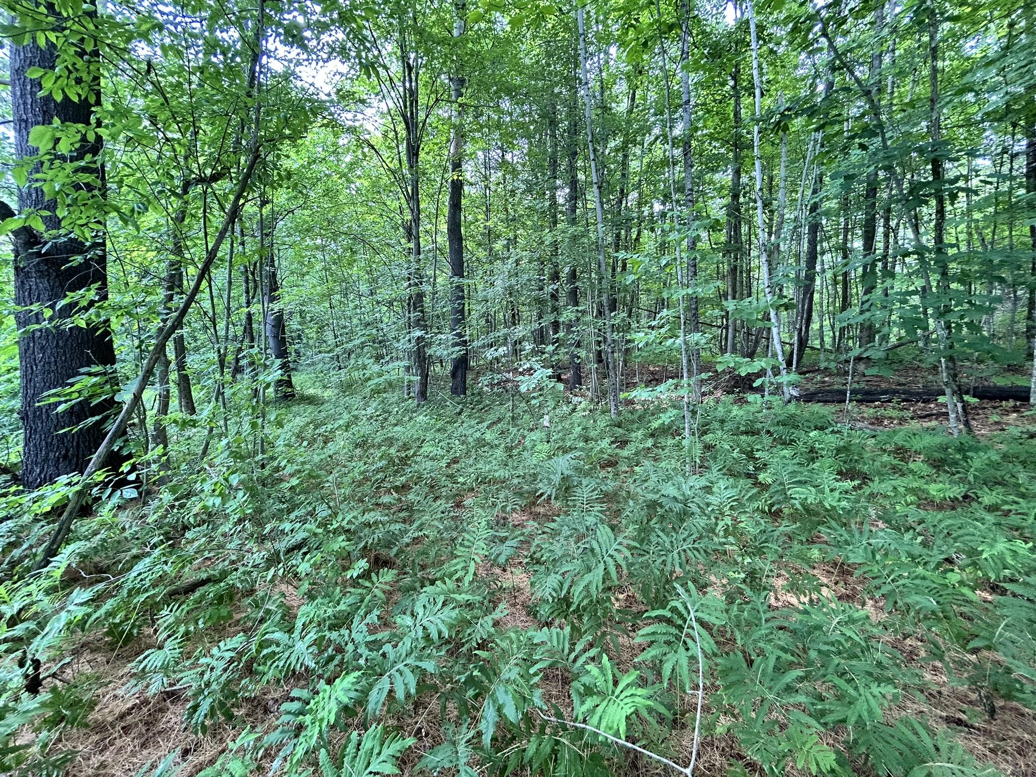 M11 L14 Vaughn Road Dover-foxcroft ME 04426