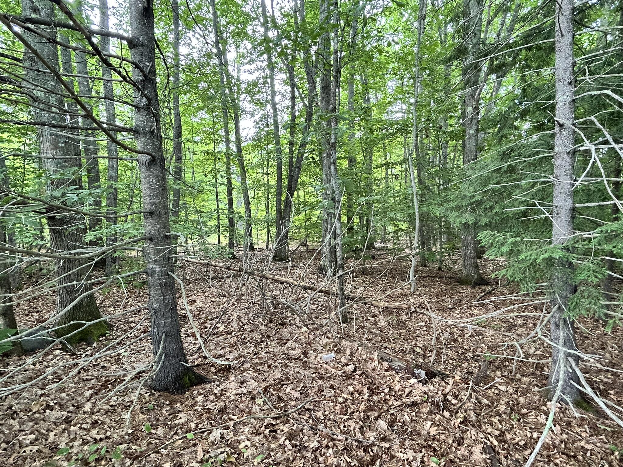 M11 L14 Vaughn Road Dover-foxcroft ME 04426