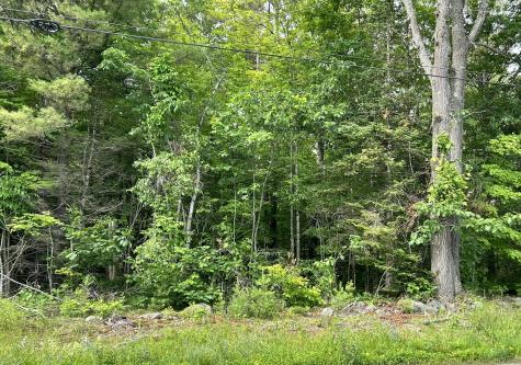 M11 L14 Vaughn Road Dover-foxcroft ME 04426