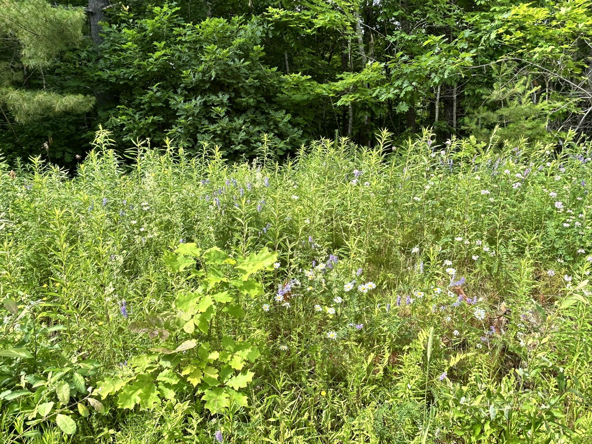 M11 L14 Vaughn Road Dover-foxcroft ME 04426