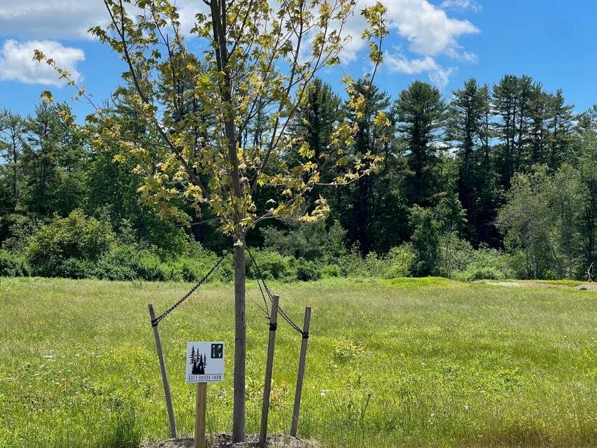 Lot 13 Forest Drive Arundel ME 04046