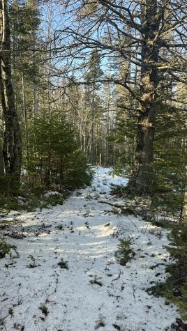 M9 L16 Airport Road Addison ME 04606