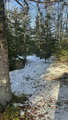 M9 L16 Airport Road Addison ME 04606