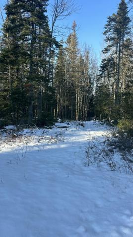 M9 L16 Airport Road Addison ME 04606