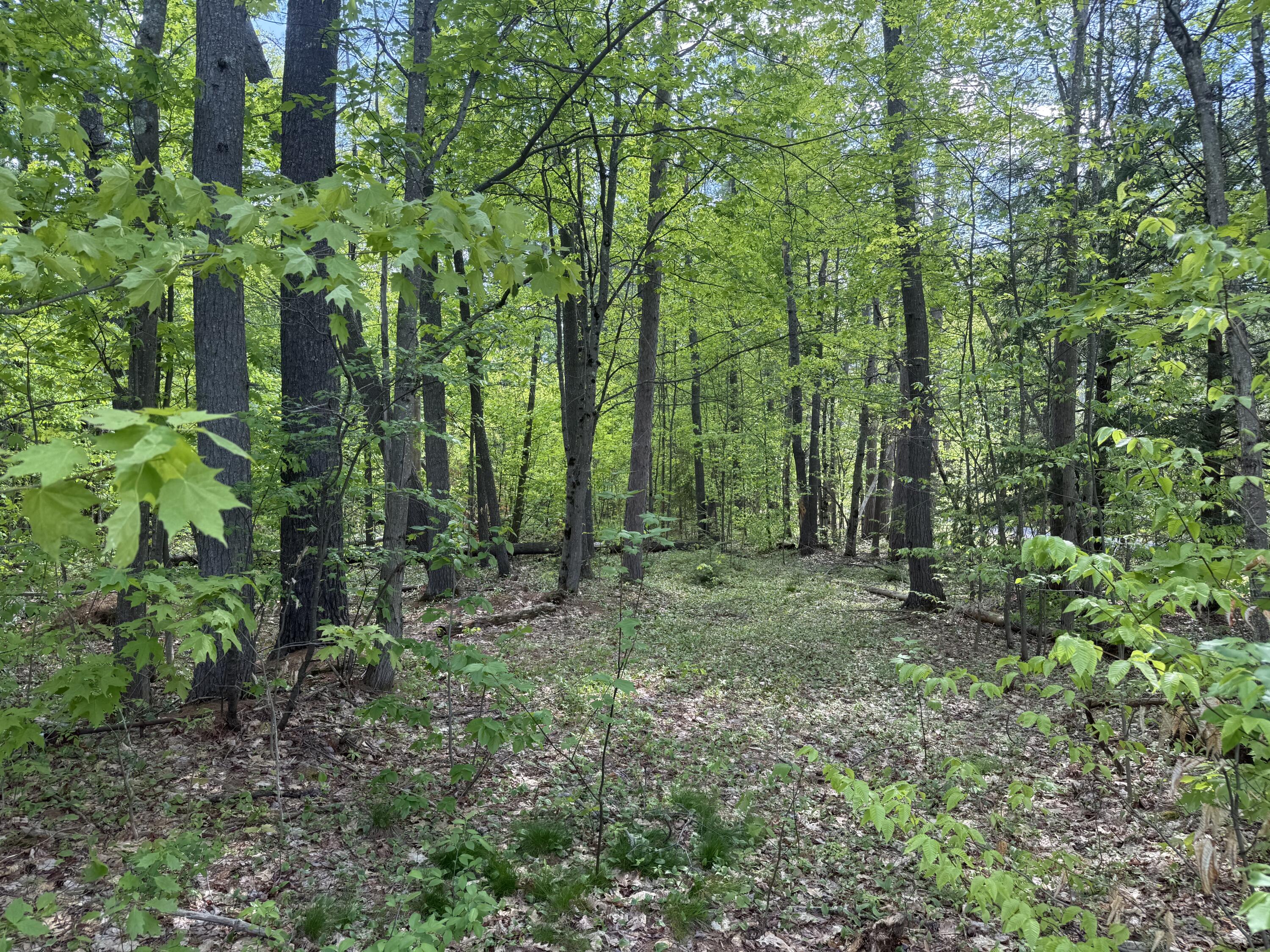 190 Barker Road Bethel ME 04217