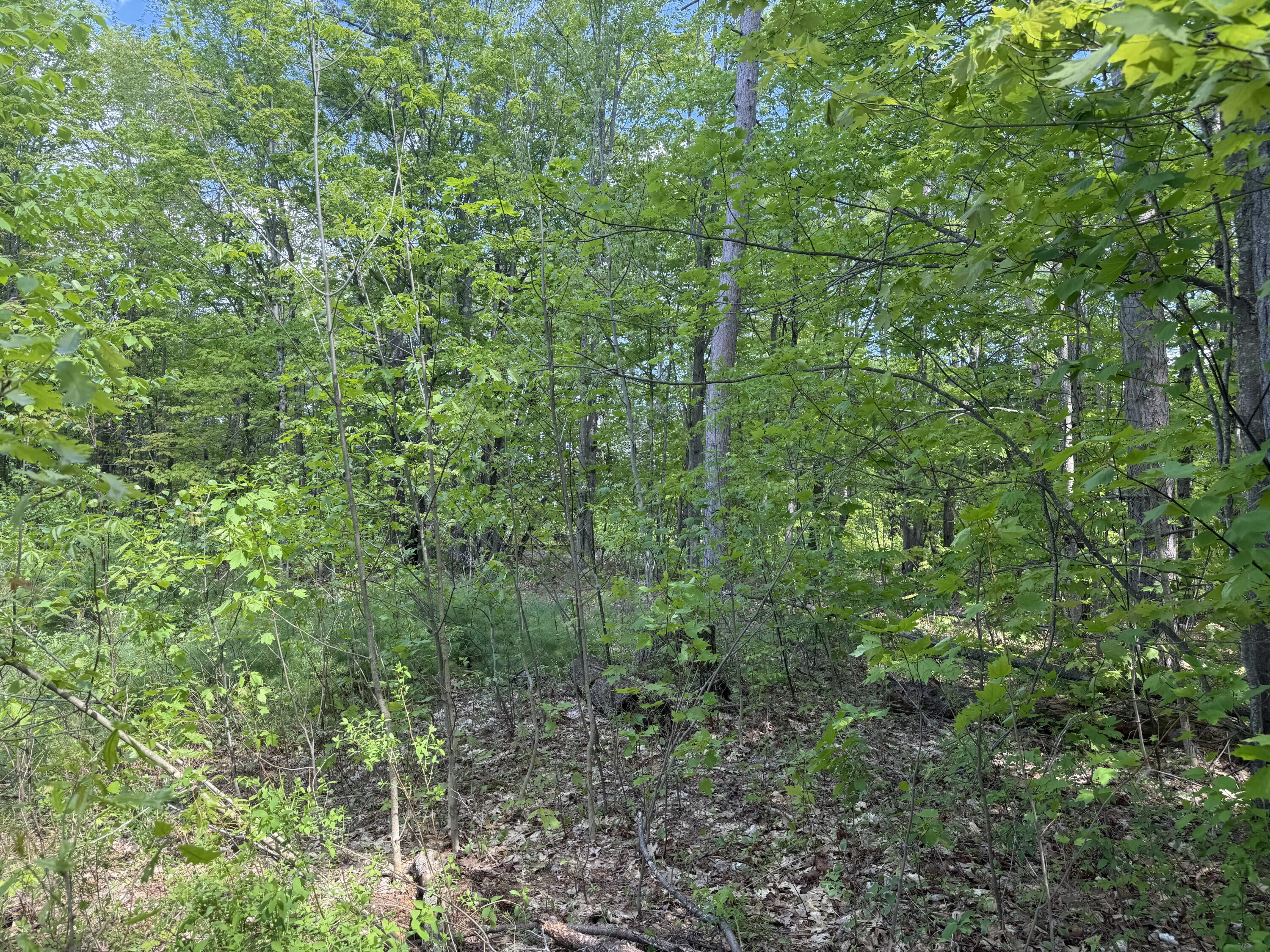 190 Barker Road Bethel ME 04217