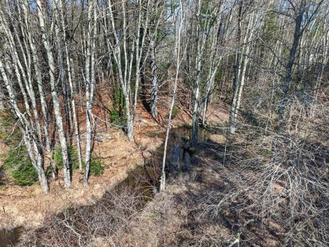 Lot 00000 117 Route Hollis ME 04042
