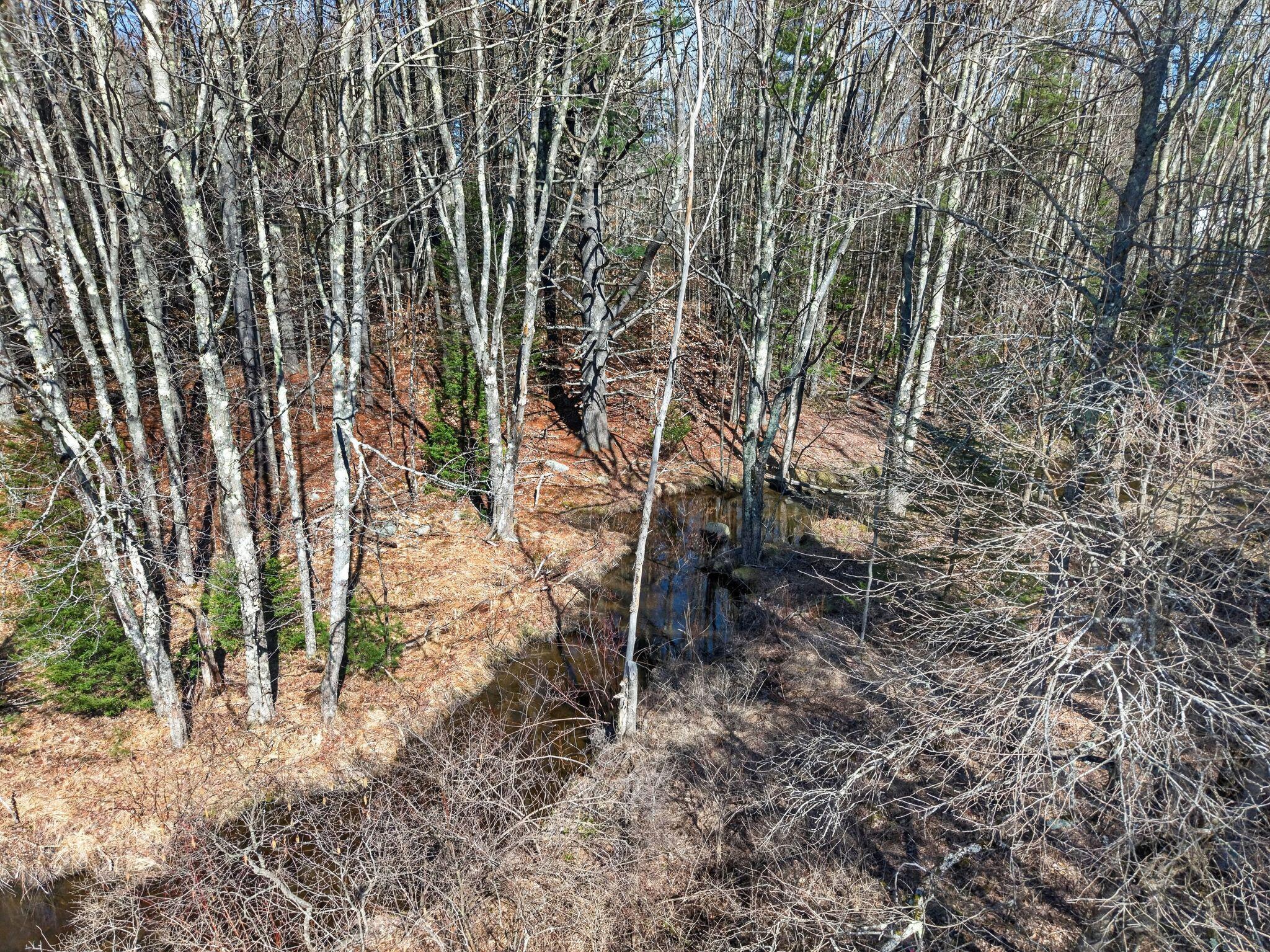 Lot 00000 117 Route Hollis ME 04042