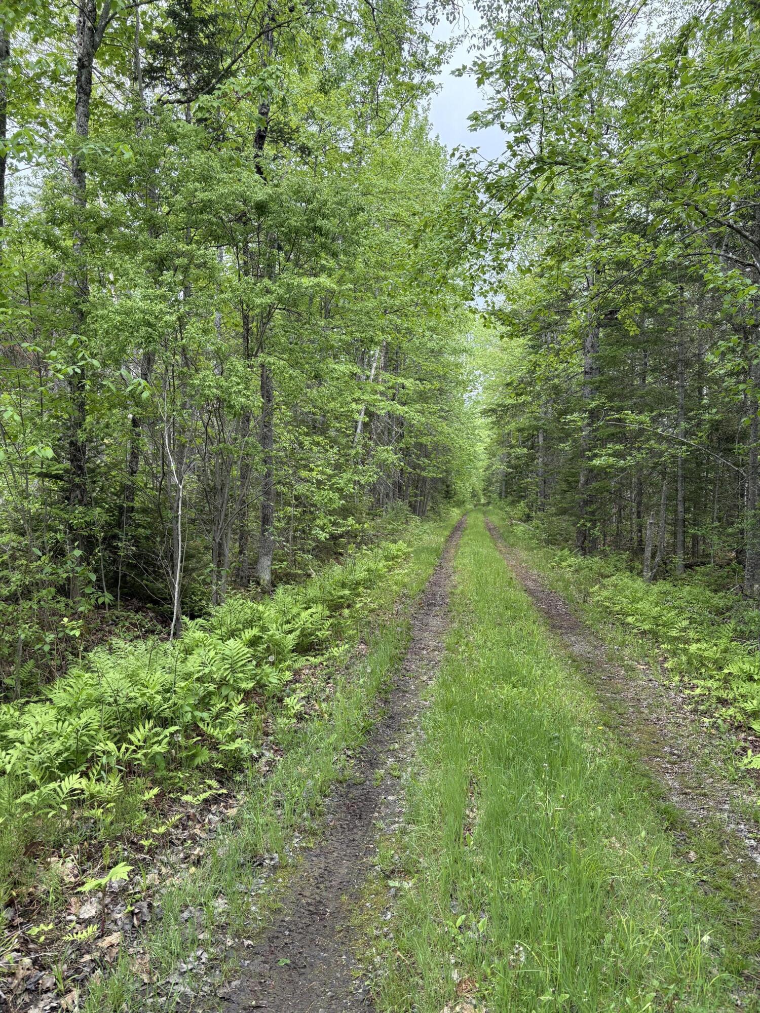 Tbd Fitz Road Kenduskeag ME 04450